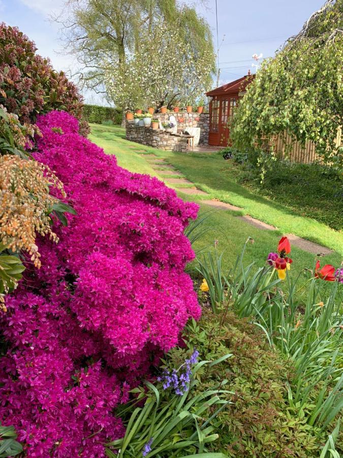 Llanwenarth Cottage A Beautiful Place To Just Be. 애버게이브니 외부 사진