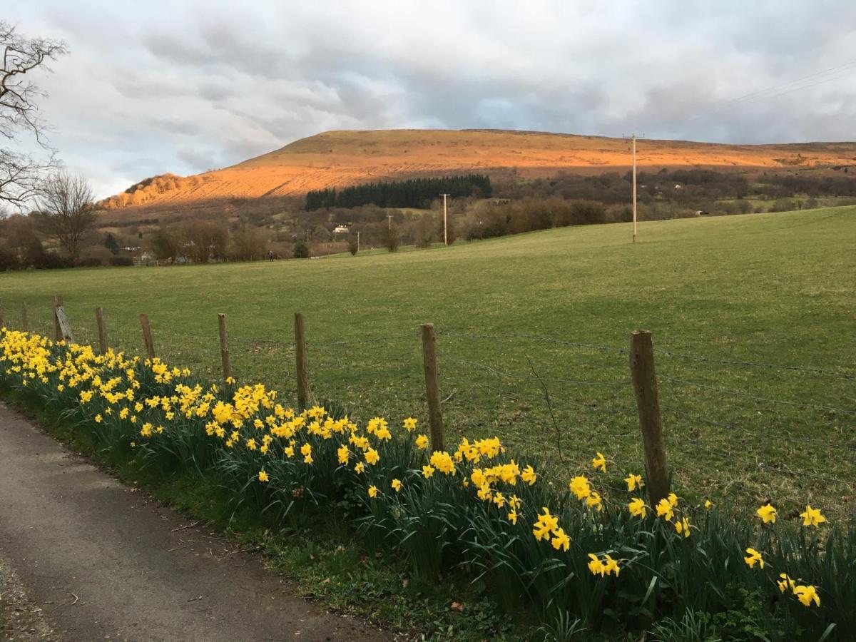 Llanwenarth Cottage A Beautiful Place To Just Be. 애버게이브니 외부 사진
