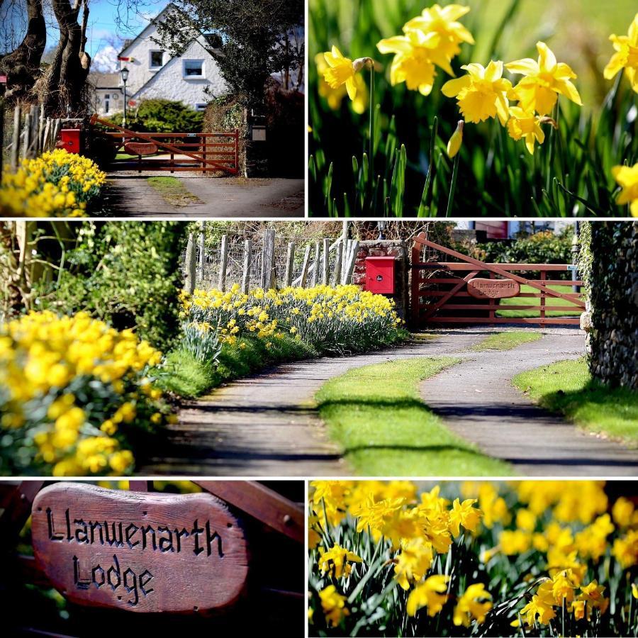 Llanwenarth Cottage A Beautiful Place To Just Be. 애버게이브니 외부 사진